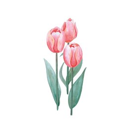 Days of Bloom Wenskaart - Tulpen - Dubbele kaart + Envelop