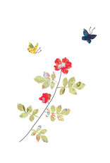 Eloise Hall Wenskaart - Rose & Butterflies - Dubbele Kaart + Envelop