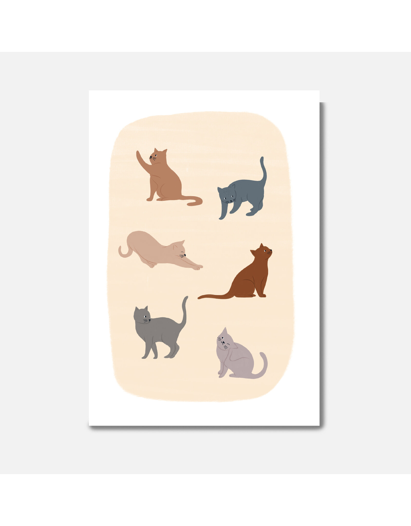 Pascale Editions Wenskaart - Katten - Dubbele kaart + Envelop