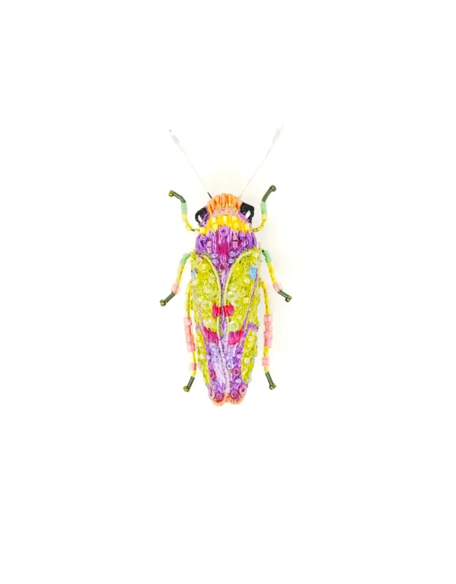 Trovelore Broche - Sharpshooter Beetle