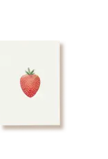 Tucán y limón Wenskaart - Aardbei - Postkaart + Envelop