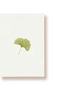 Tucán y limón Wenskaart - Ginko - Postkaart + Envelop