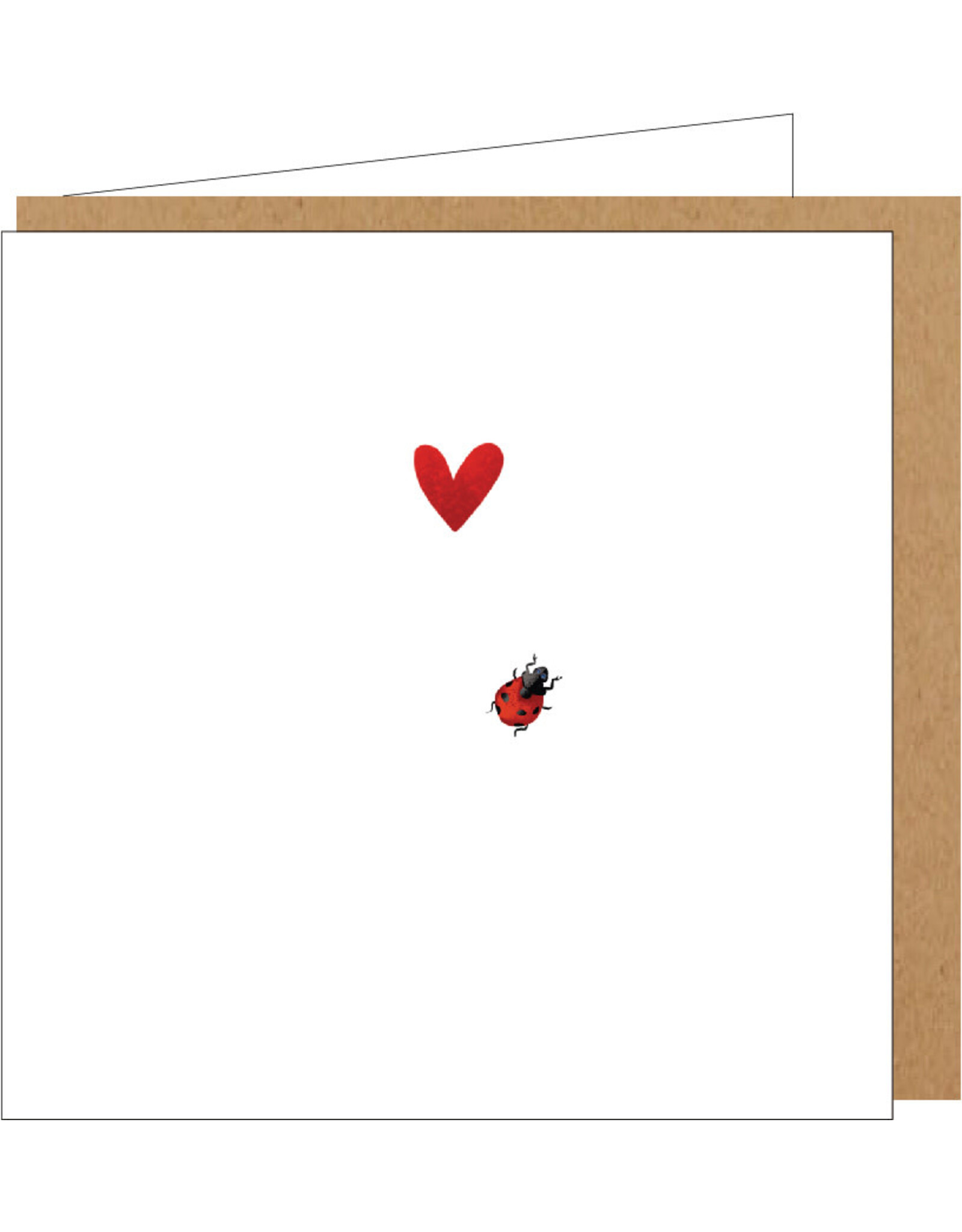 Yon Wenskaart - Lieveheersbeestje - Dubbele kaart + Envelop
