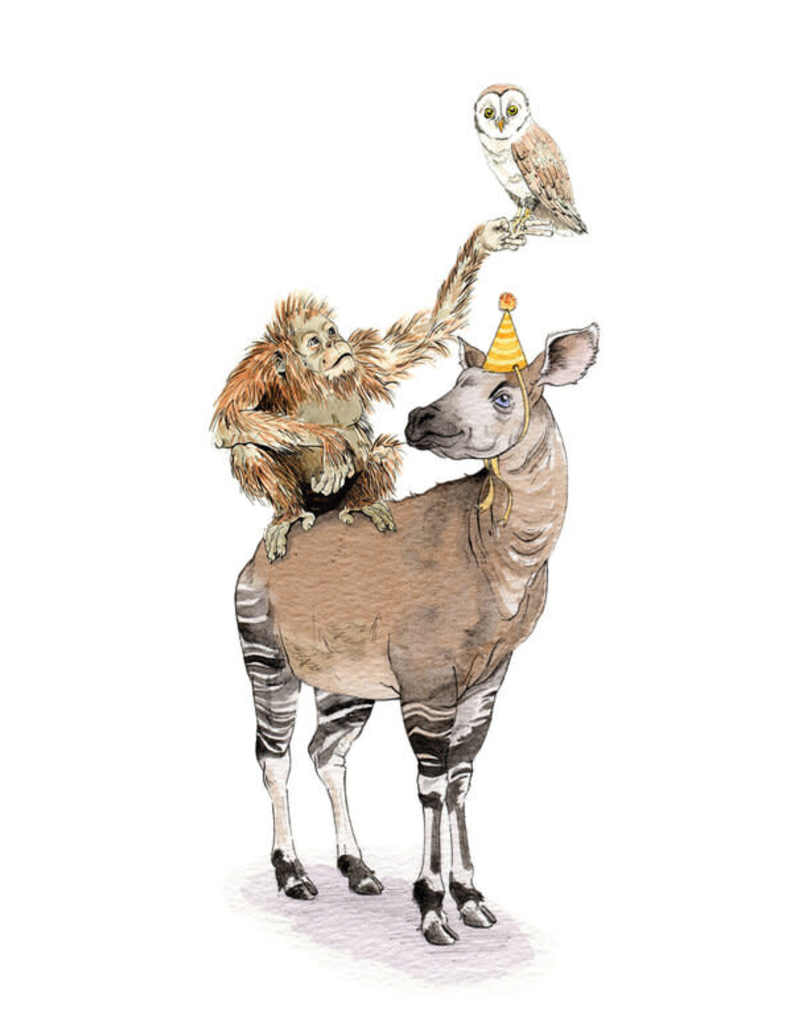 DMC illustrations Wenskaart - The Okapi - Dubbele kaart + Envelop