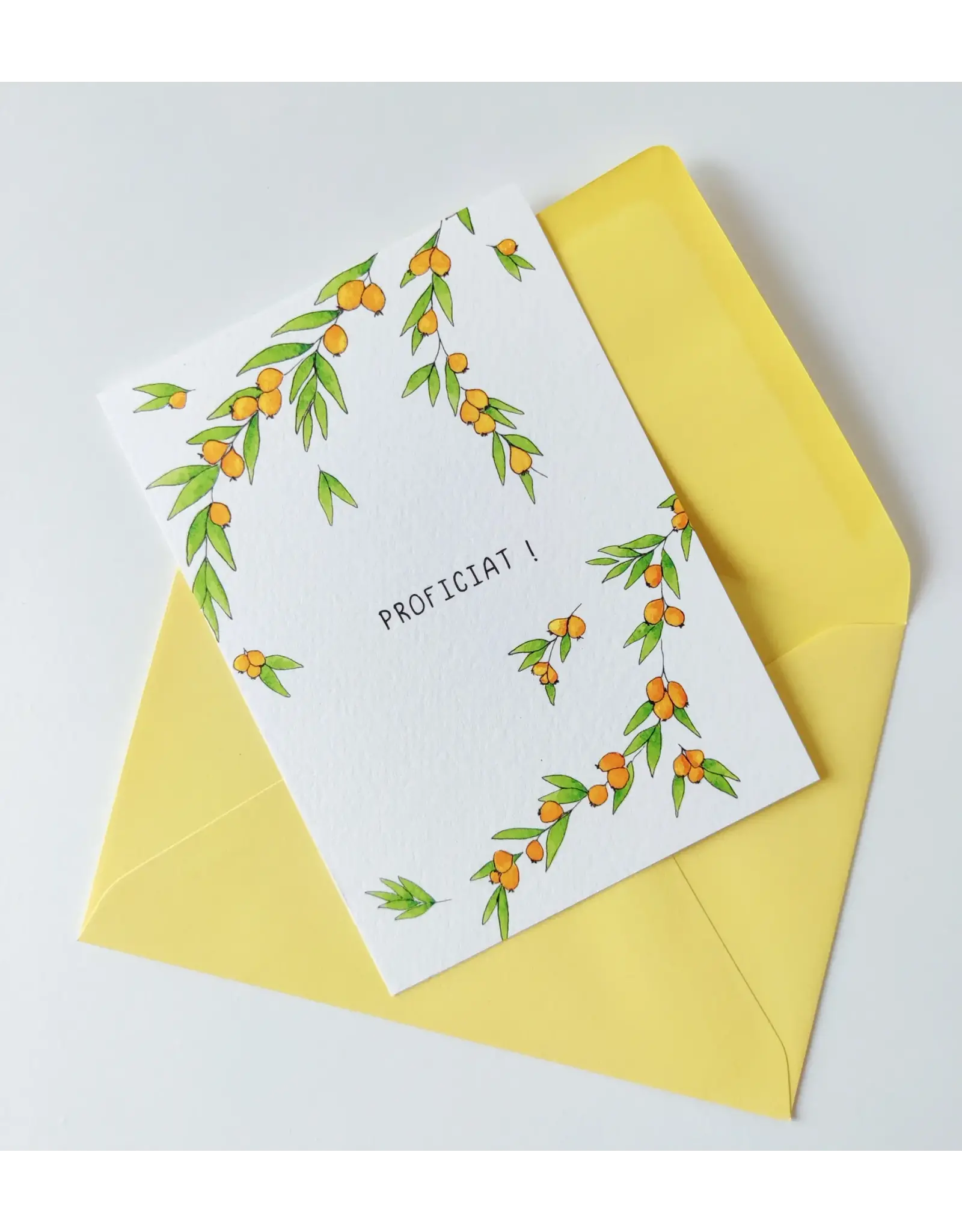 Magali Meul Wenskaart - Appelsien, Proficiat - Postkaart + Envelop