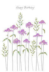 Eloise Hall Wenskaart - Echinacea, Happy Birthday - Dubbele Kaart + Envelop