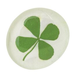 Raeder Magneet Klavertjevier