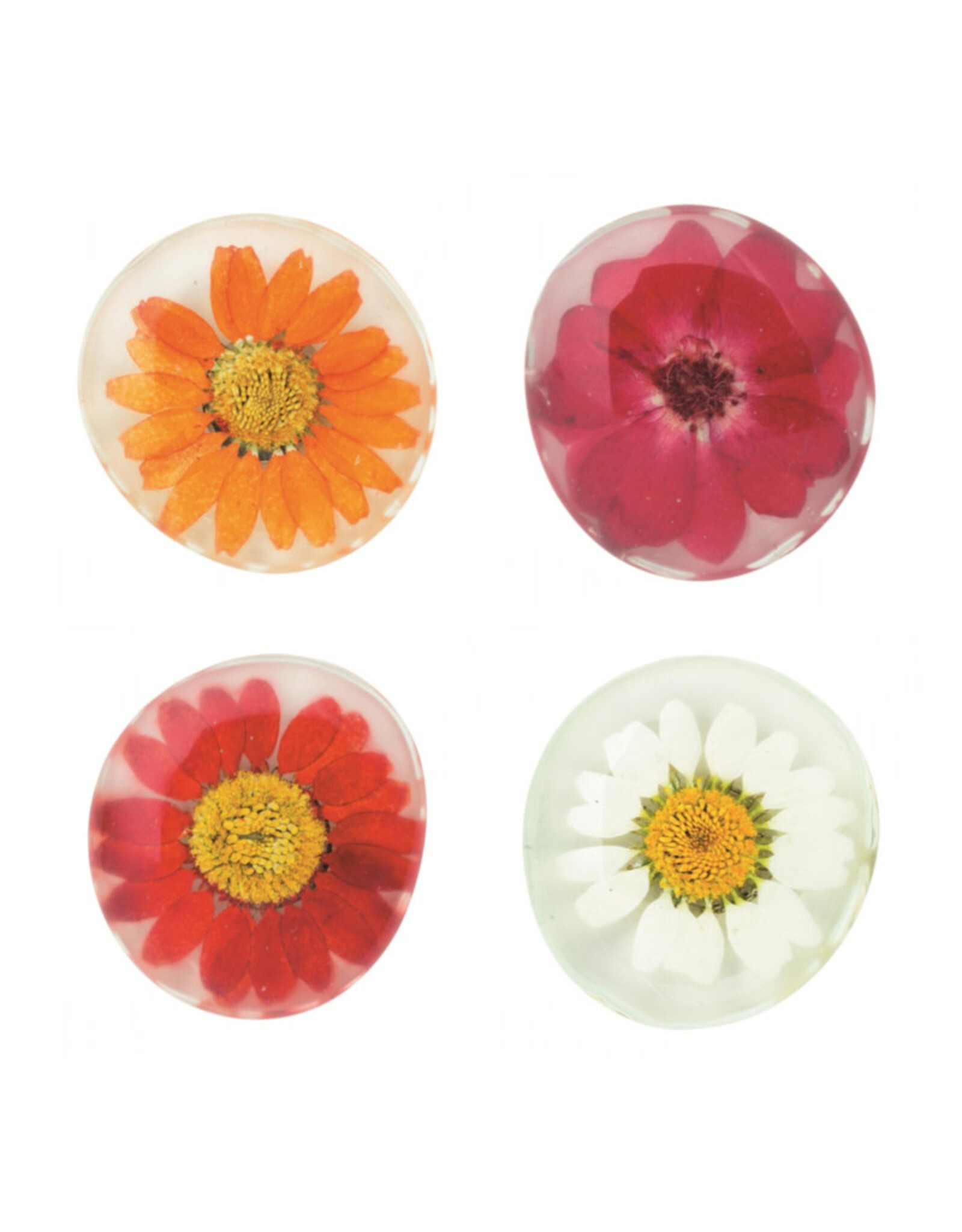Raeder Magneet Flower Power