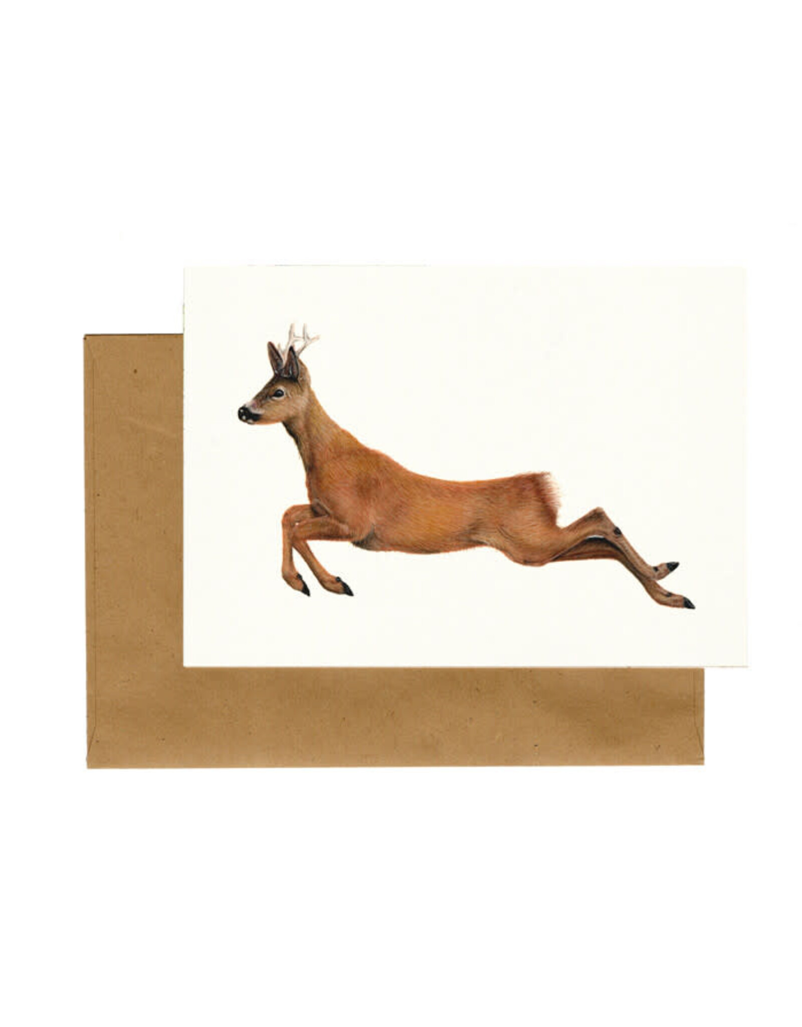 Lonneke Grimbergen Art Wenskaart - Ree maakt een sprong - Postkaart + Envelop