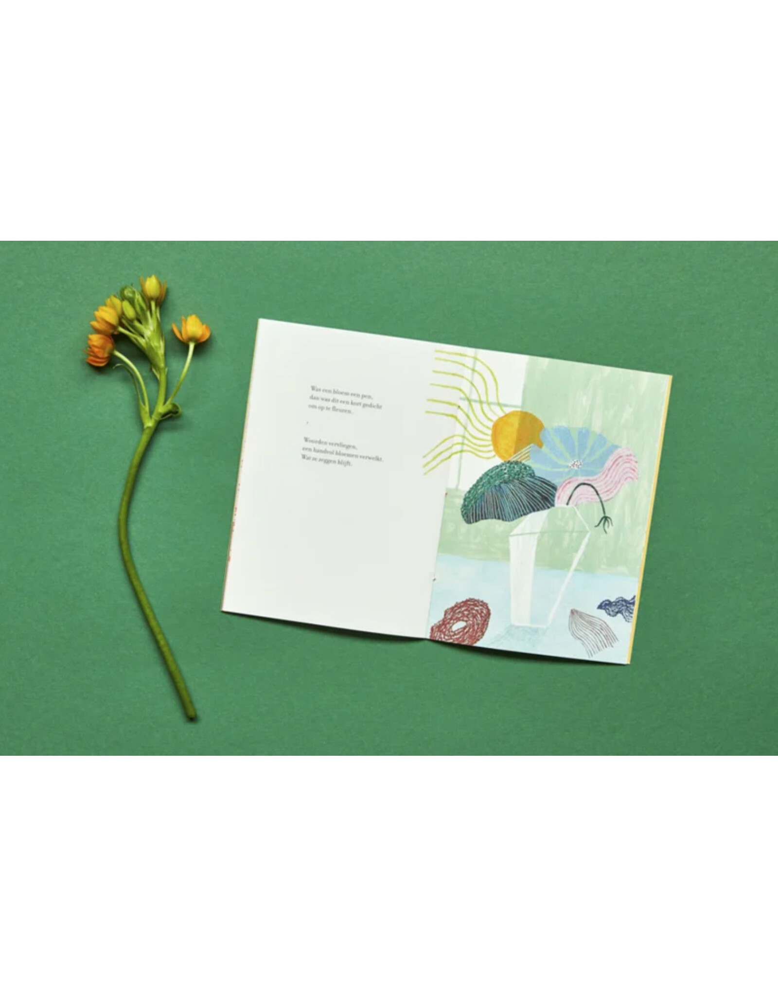 Loopvis - Kakkerlakje Kakkerlakjes - Tweemaal zeven bloemen  - Boekje + Envelop