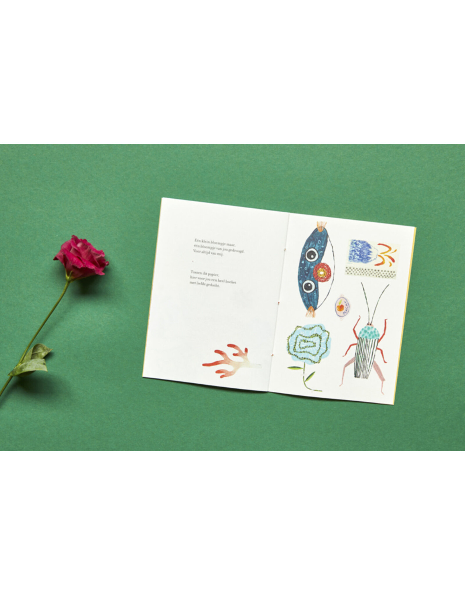 Loopvis - Kakkerlakje Kakkerlakjes - Tweemaal zeven bloemen  - Boekje + Envelop