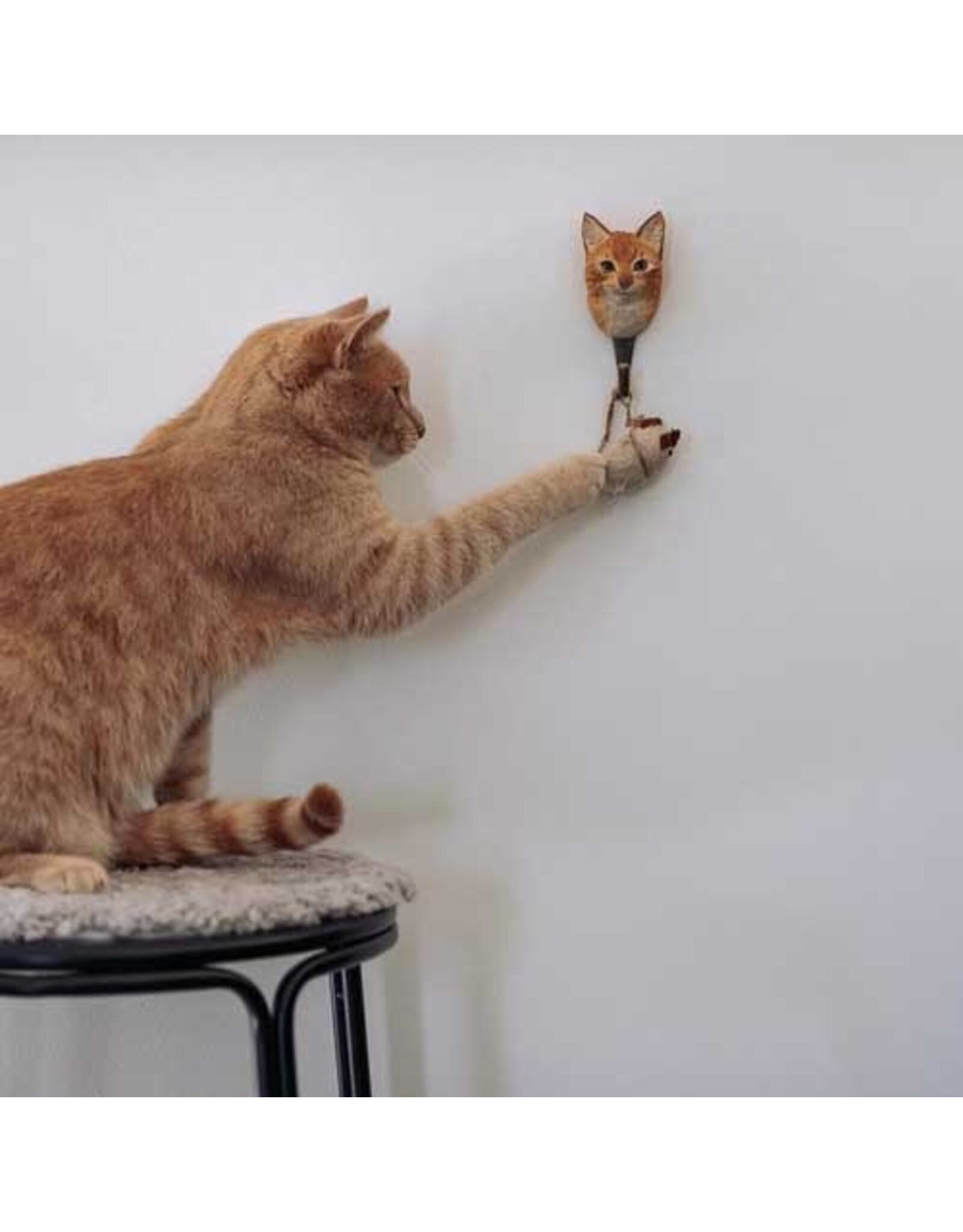 wildlife garden Kapstok - Ginger Cat