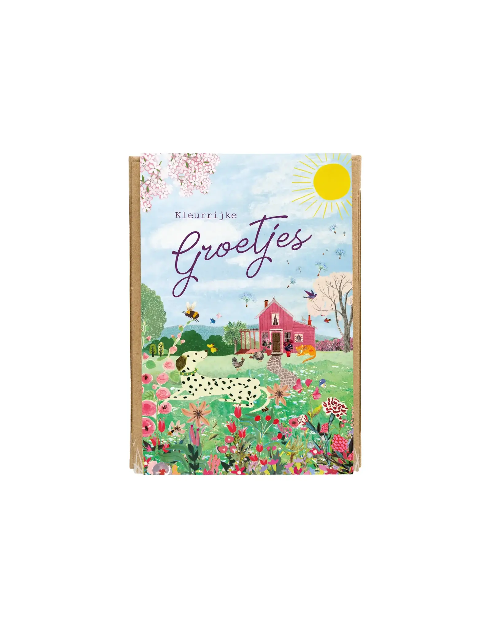 Blossombs Bloembommetjes - Kleurijke groetjes - 4st