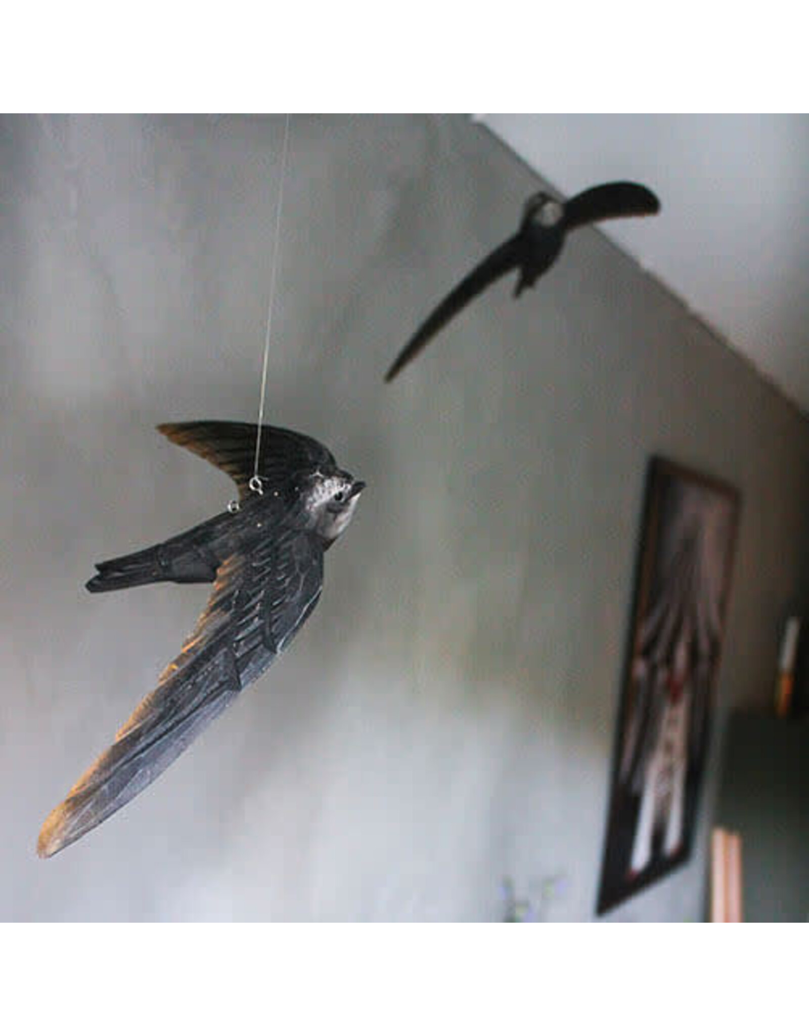 wildlife garden Decobird - Flying Common Swift