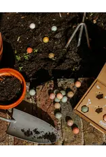 Blossombs Bloembommetjes M - Dank je wel - 12st