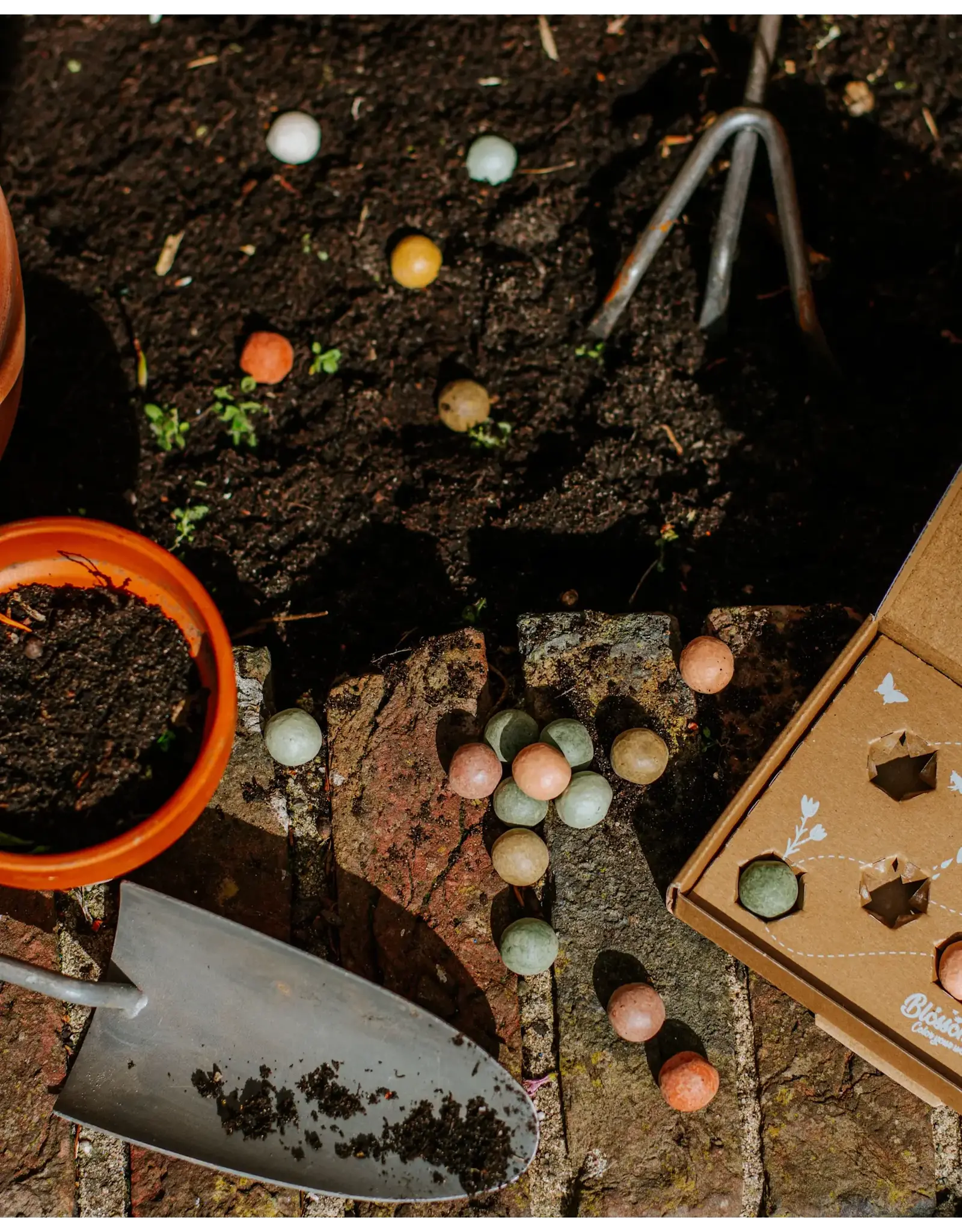Blossombs Bloembommetjes M - Dank je wel - 12st