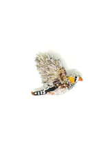 Trovelore Broche - Zebra Finch - 5x5cm