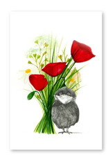 Lieve Claesen Wenskaart - Pietevogel Klaprozen - Dubbele kaart + Envelop