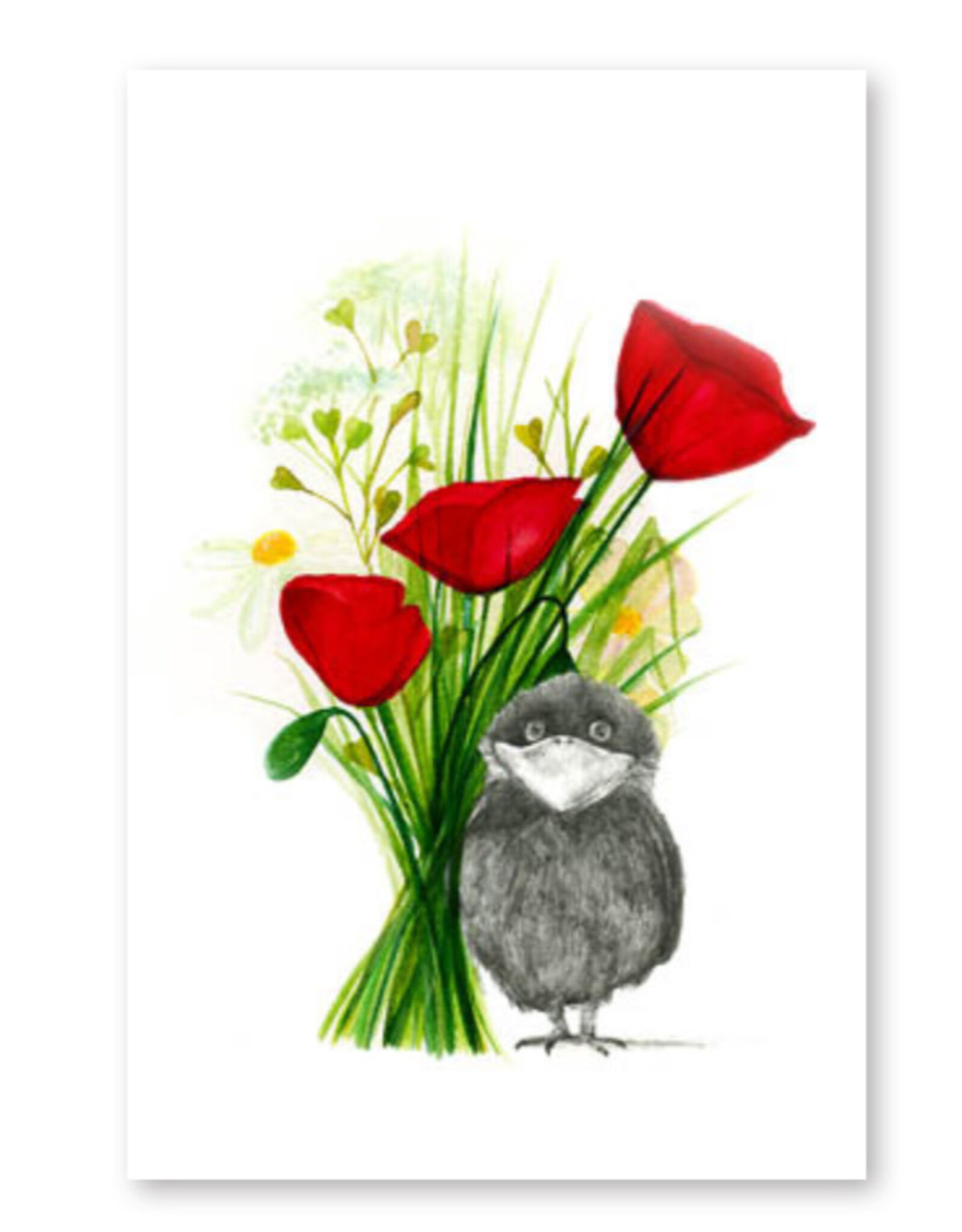 Lieve Claesen Wenskaart - Pietevogel Klaprozen - Dubbele kaart + Envelop