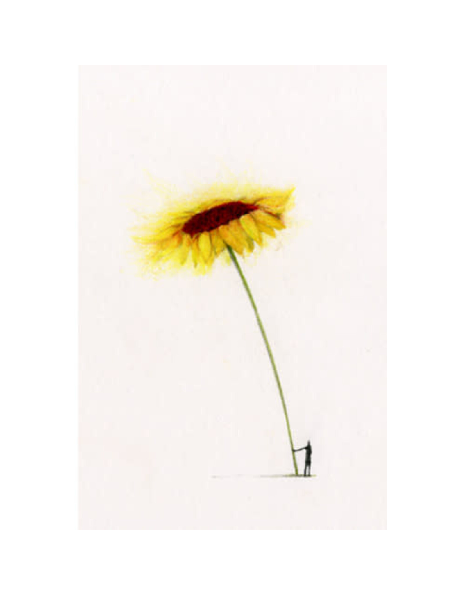 Lieve Claesen Wenskaart - Zonnebloem - Dubbele kaart + Envelop