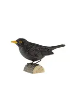 wildlife garden DecoBird - Blackbird
