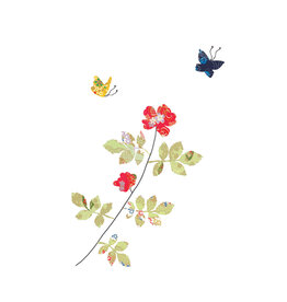 Eloise Hall Wenskaart - Rose & Butterflies - Dubbele Kaart + Envelop