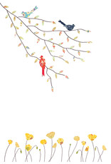 Eloise Hall Wenskaart - Three Birds & Poppies - Dubbele Kaart + Envelop