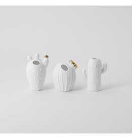 Raeder Mini Cactusvaasjes - Ø 2x7 cm - 1st