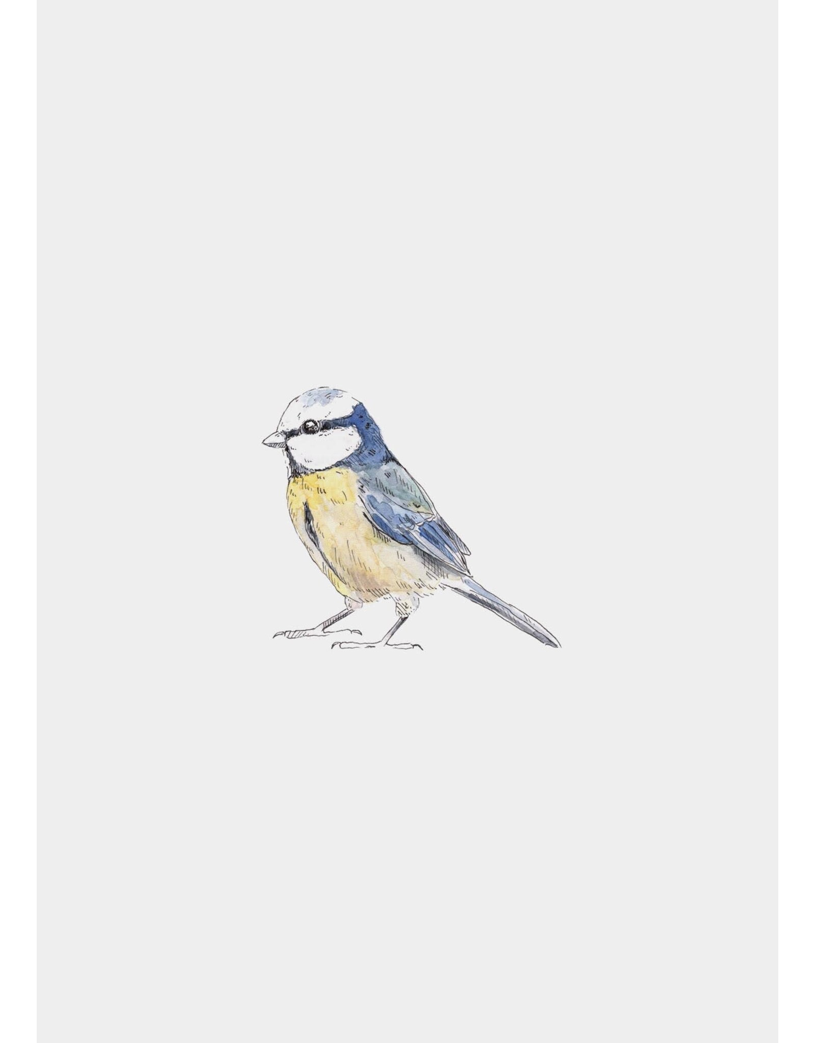 Inkylines Muursticker - Pimpelmees