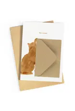 Studio Zwoane Wenskaart - Kateautje - Dubbele kaart + Envelop
