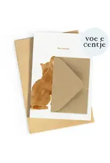 Studio Zwoane Wenskaart - Kateautje - Dubbele kaart + Envelop