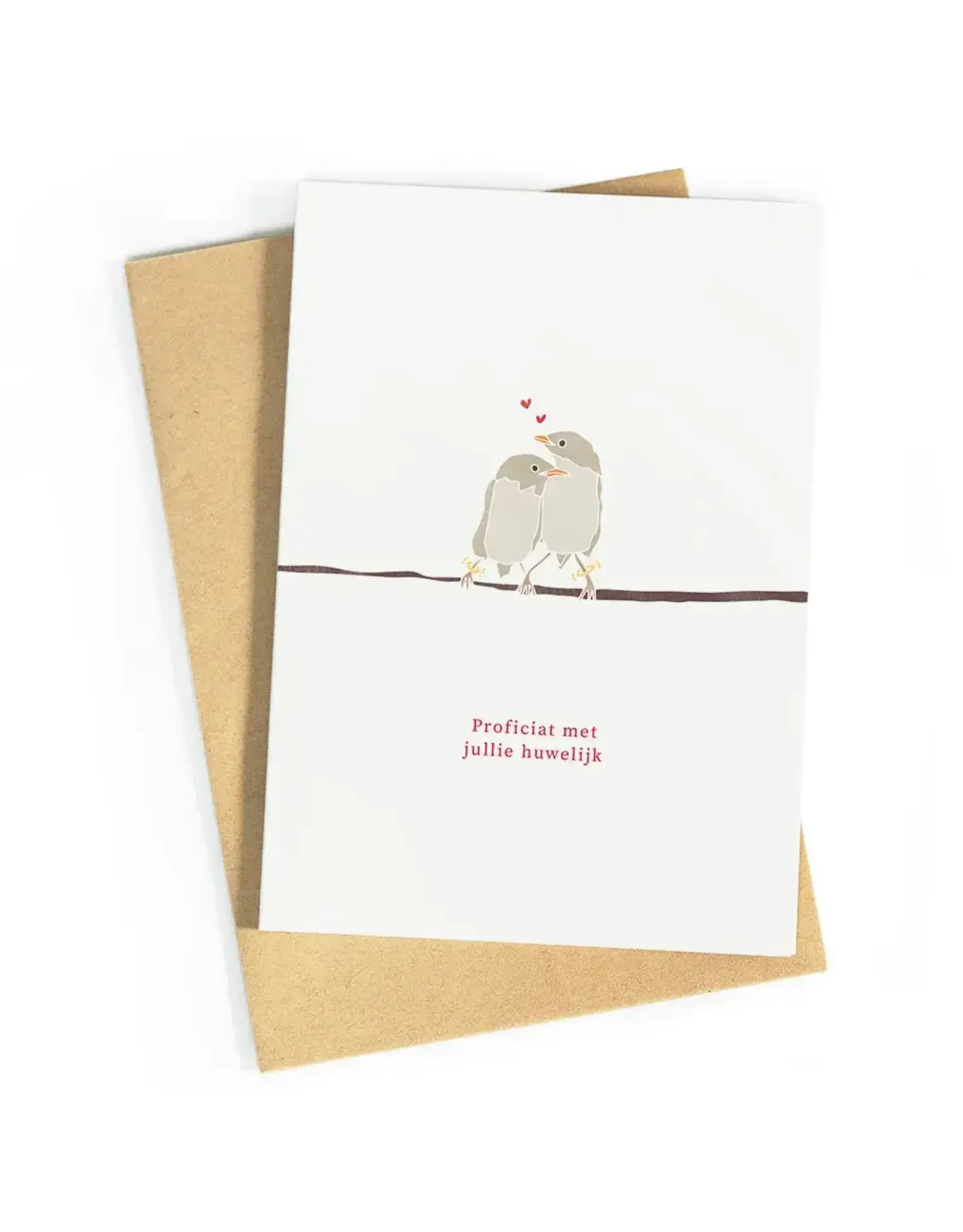 Studio Zwoane Wenskaart - Proficiat met jullie huwelijk, Vogels - Dubbele kaart + Envelop