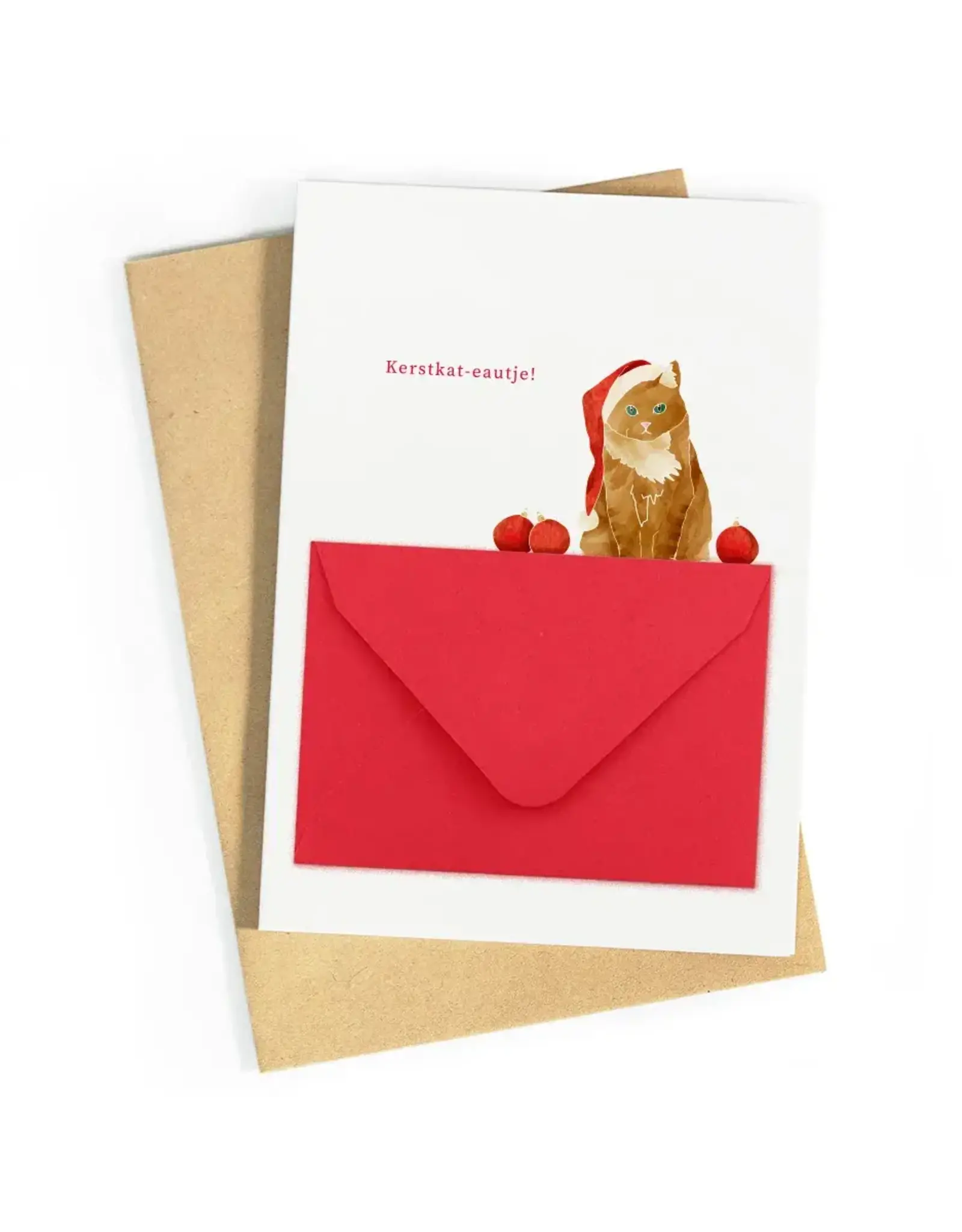 Studio Zwoane Wenskaart - Kerst - Kerstkat-eautje - Dubbele kaart + Envelop