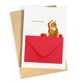 Studio Zwoane Wenskaart - Kerst - Kerstkat-eautje - Dubbele kaart + Envelop