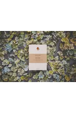 Tucán y limón Notitieblokje - Roodborstje - 10,5x14,8 cm - 50pg