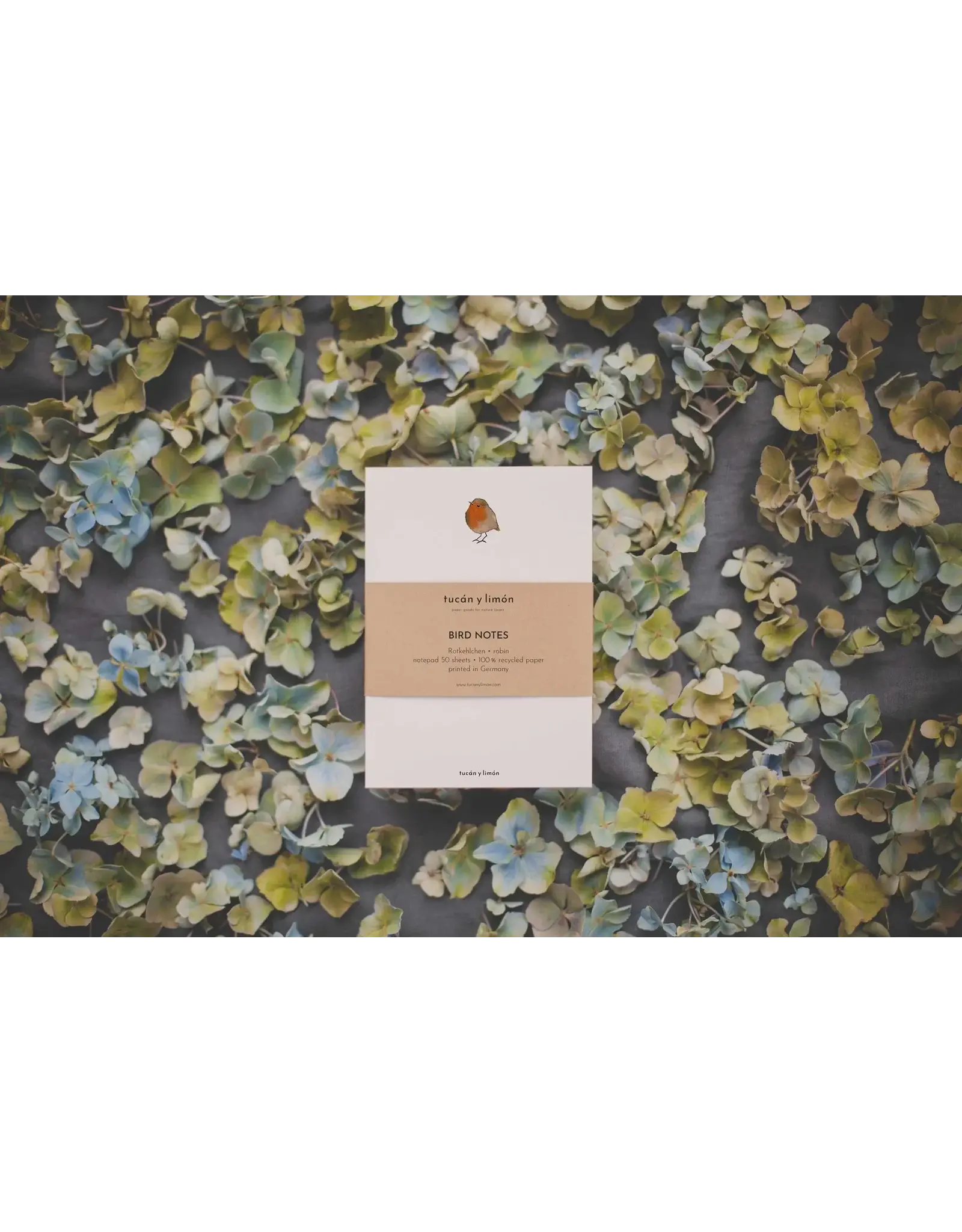 Tucán y limón Notitieblokje - Roodborstje - 10,5x14,8 cm - 50pg