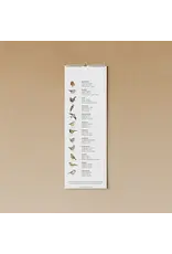 Tucán y limón Verjaardagskalender - Vogels