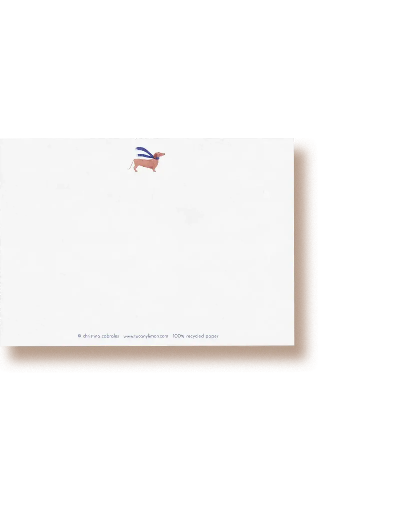 Tucán y limón Wenskaart - Teckel, Merry Christmas  - Postkaart + Envelop