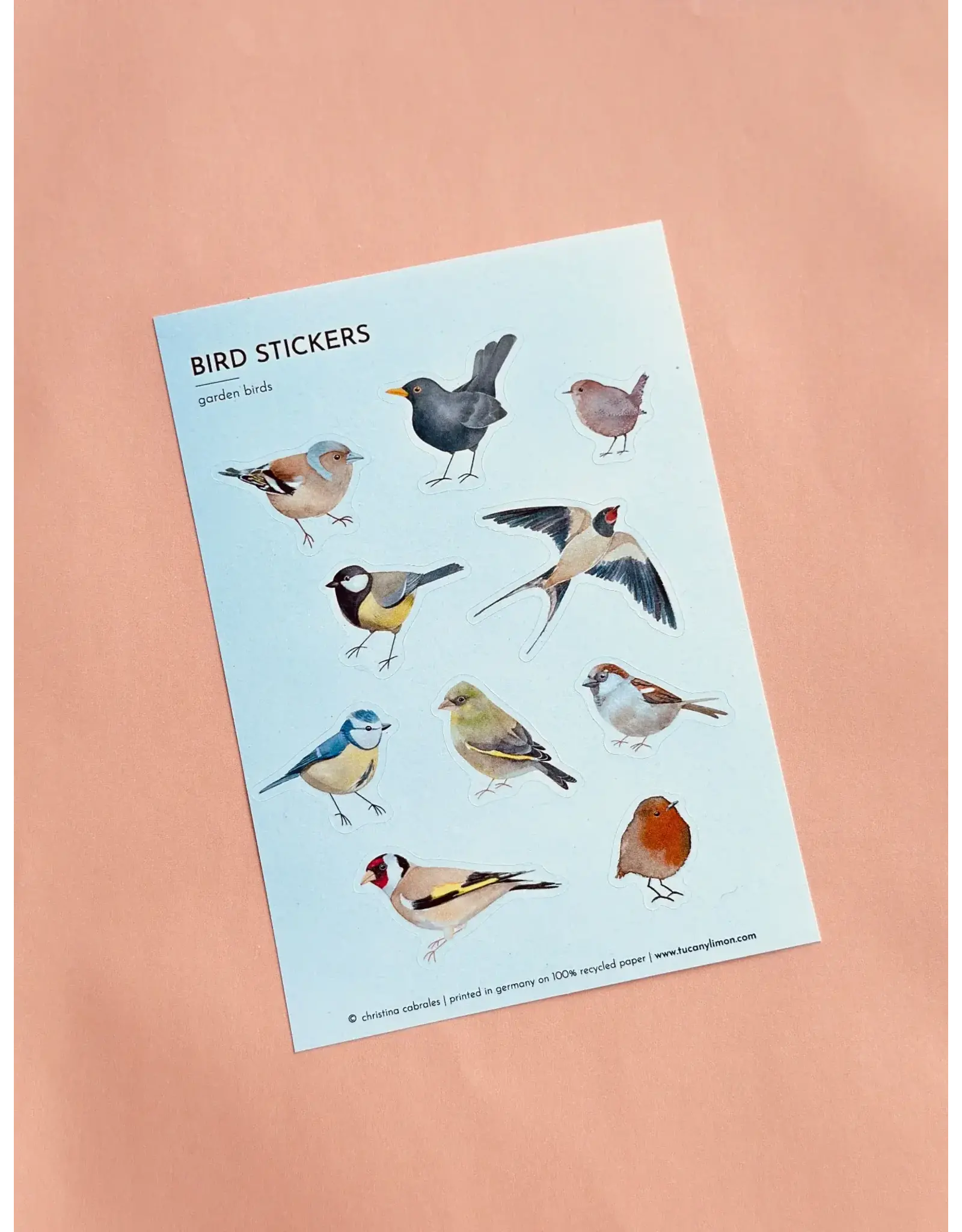 Tucán y limón Stickers, Vogels