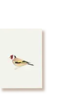 Tucán y limón Wenskaart - Distelvink - Postkaart + Envelop