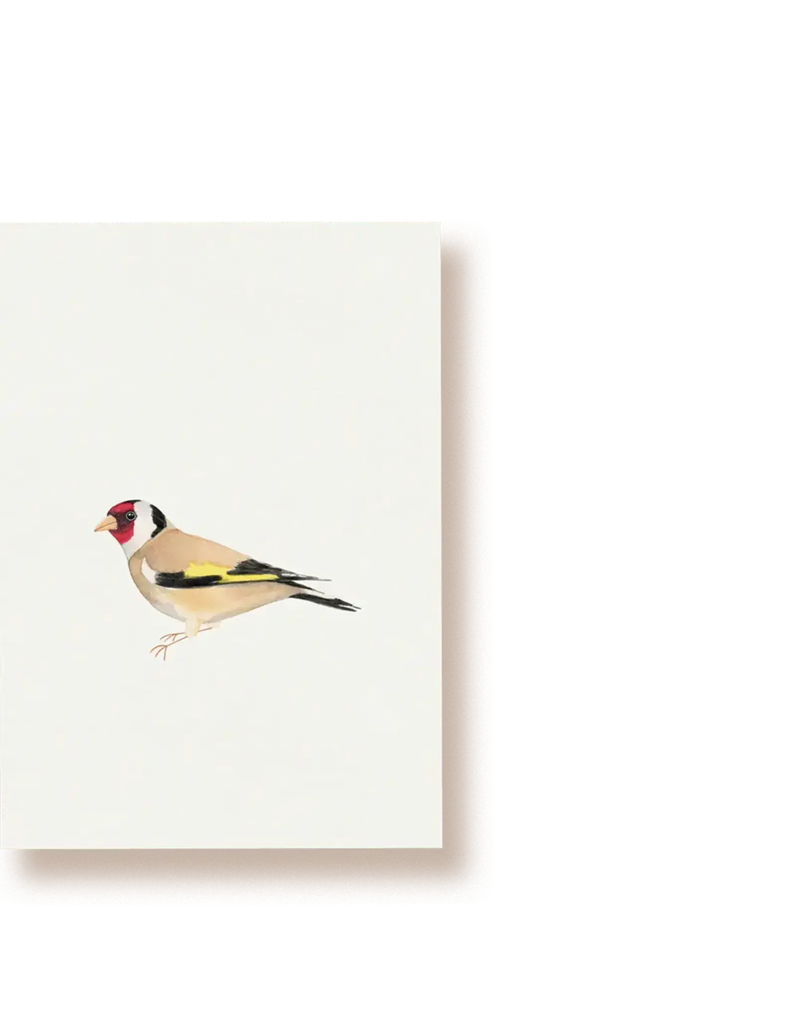 Tucán y limón Wenskaart - Distelvink - Postkaart + Envelop