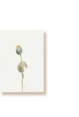 Tucán y limón Wenskaart - Muis en Klaproos knop - Postkaart + Envelop