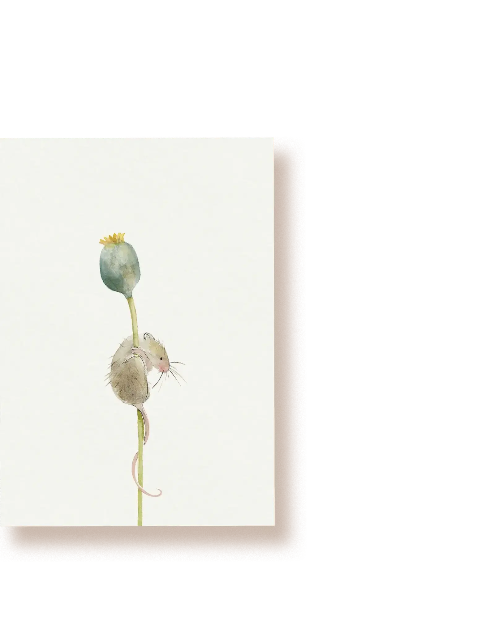 Tucán y limón Wenskaart - Muis en Klaproos knop - Postkaart + Envelop