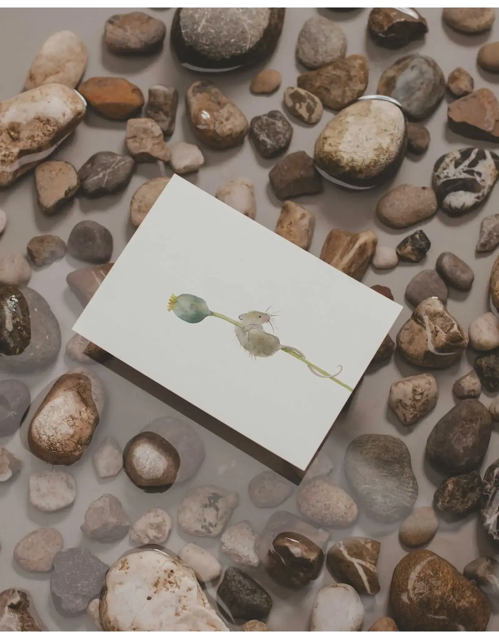 Tucán y limón Wenskaart - Muis en Klaproos knop - Postkaart + Envelop