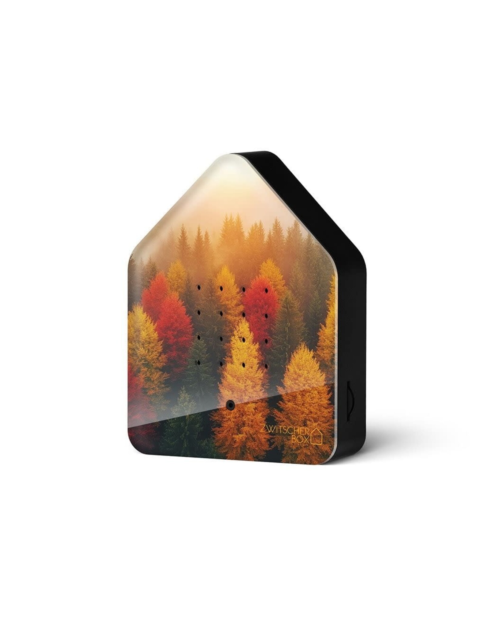 Zwitscherbox Zwitscherbox, Sunny Autumn Forest - Geluiden: Merel - B 11 x H 14,5 x D 3,5 cm