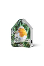 Zwitscherbox Zwitscherbox, Robin Redbreast - Geluiden: Merel - B 11 x H 14,5 x D 3,5 cm