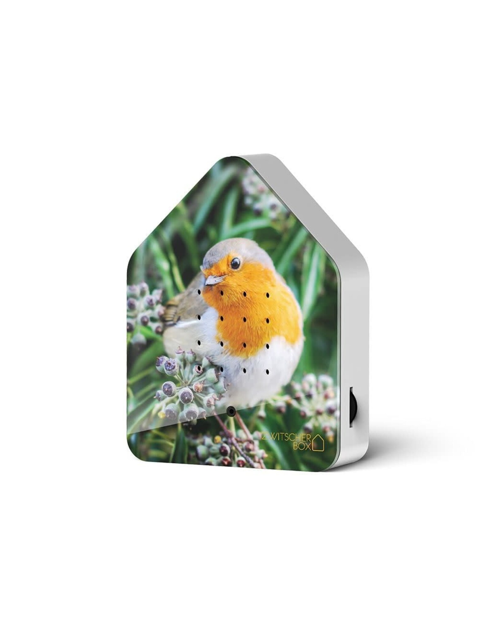 Zwitscherbox Zwitscherbox, Robin Redbreast - Geluiden: Merel - B 11 x H 14,5 x D 3,5 cm