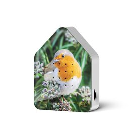 Zwitscherbox Zwitscherbox, Robin Redbreast - Geluiden: Merel - B 11 x H 14,5 x D 3,5 cm