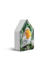 Zwitscherbox Zwitscherbox, Robin Redbreast - Geluiden: Merel - B 11 x H 14,5 x D 3,5 cm