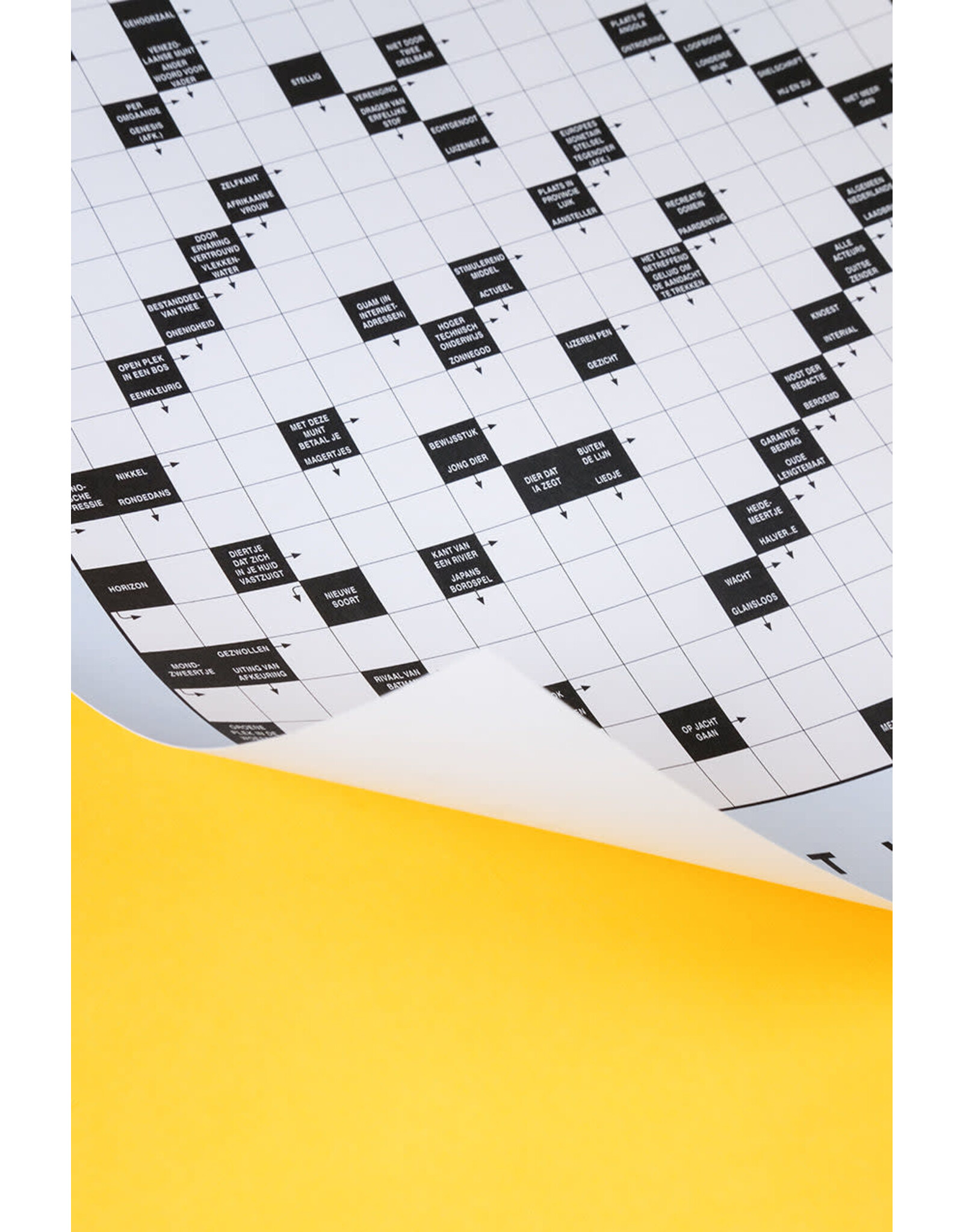 Stratier Spelposter XL - Zweedse Kruiswoordraadsel Nr.2